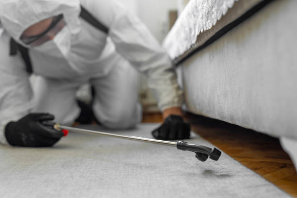 Professional Bed Bug Control technician working in Greenfield, IN